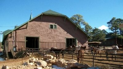 Mules at the Mule Barn. Click for full size. Mules at the Mule Barn image. Click for full size.