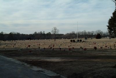 Beechwood Cemetery image. Click for full size.