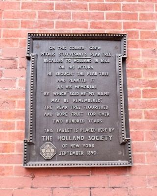 Petrus Stuyvesant's Pear Tree Marker. Click for full size. Petrus Stuyvesant's Pear Tree Marker image. Click for full size.