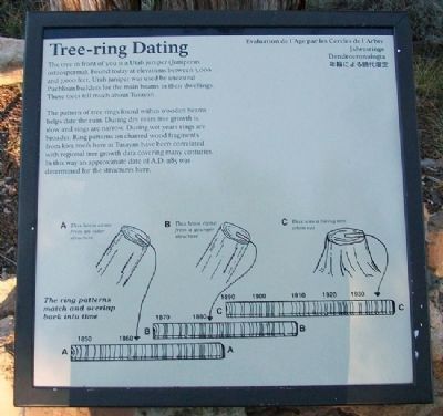 Tree-ring Dating Marker. Click for full size. Tree-ring Dating Marker image. Click for full size.