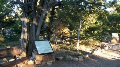 Tree-ring Dating Marker. Click for full size. Tree-ring Dating Marker image. Click for full size.
