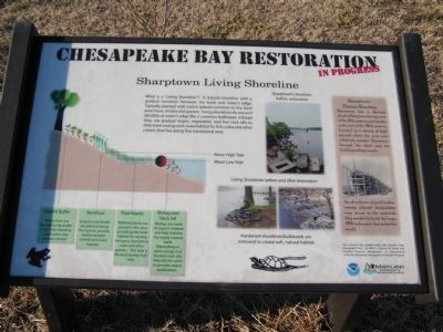Chesapeake Bay Restoration in Progress Marker image. Click for full size.