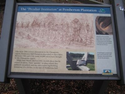 The "Peculiar Institution" at Pemberton Plantation Marker image. Click for full size.