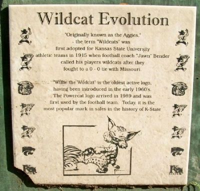 Wildcat Evolution Marker image. Click for full size.