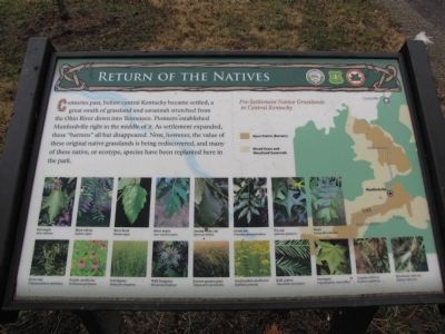 Return of the Natives Marker image. Click for full size.