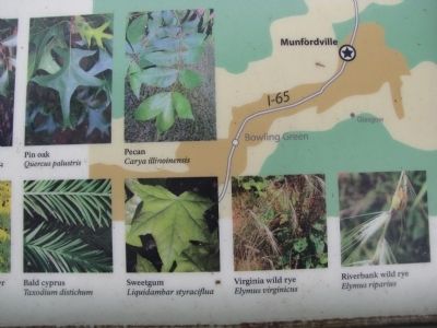 detail of Return of the Natives Marker image. Click for full size.