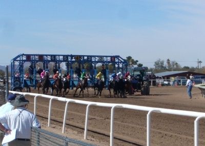 Starting gate at Rillito Race Track image. Click for full size.