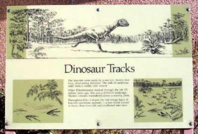 Dinosaur Tracks Marker image. Click for full size.