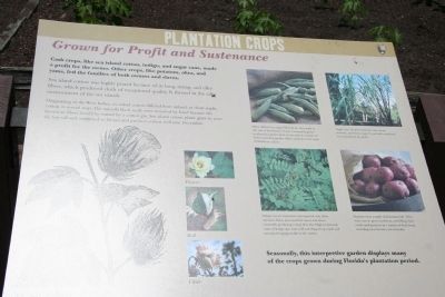 Plantation Crops Marker. Click for full size. Plantation Crops Marker image. Click for full size.