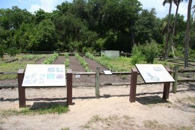 Plantation Crops Marker. Click for full size. Plantation Crops Marker image. Click for full size.