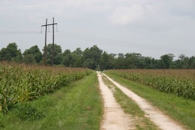 Road to McClary Cemetery image. Click for full size.