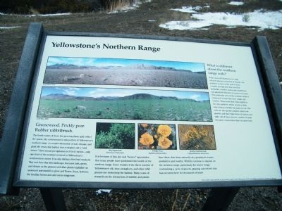 Yellowstone's Northern Range Marker image. Click for full size.