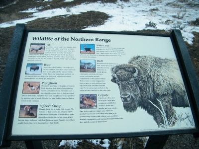 Wildlife of the Northern Range Marker image. Click for full size.