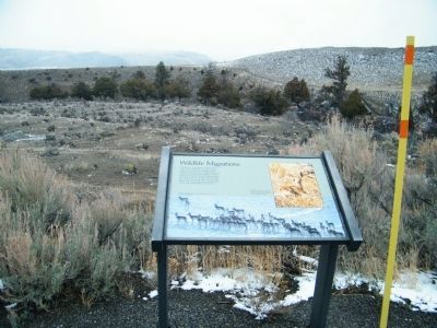 Wildlife Migrations Marker with Gardner River Valley in the background image. Click for full size.