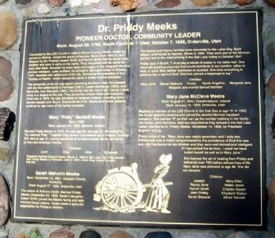 Dr. Priddy Meeks Marker. Click for full size. Dr. Priddy Meeks Marker image. Click for full size.