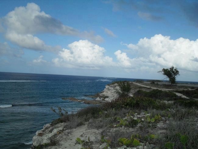 view of The Northeast Reef, looking northeast image. Click for full size.