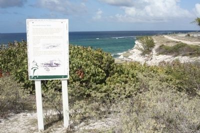 The Northeast Reef Marker image. Click for full size.