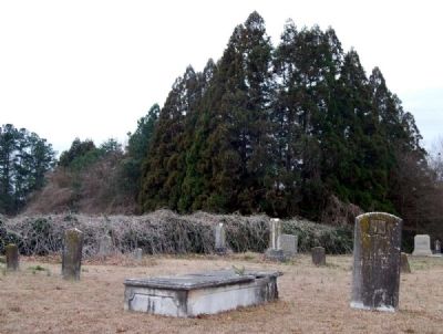 Honea Path Cemetery -<br>Older Section<br>Along South Boundary image. Click for full size.