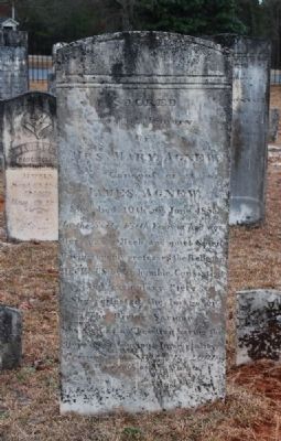 Mary Agnew Tombstone image. Click for full size.