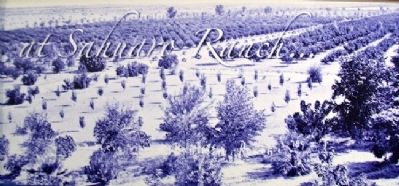 Photo on Sahuaro Ranch Welcome Marker. Click for full size. Photo on Sahuaro Ranch Welcome Marker image. Click for full size.