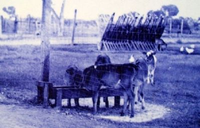 Photo on Corrals and Tack House Marker image. Click for full size.