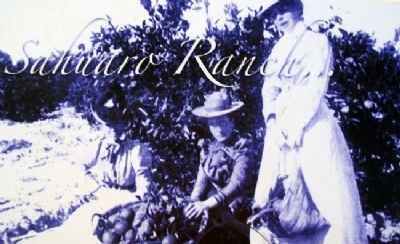 Photo on Orchards Marker. Click for full size. Photo on Orchards Marker image. Click for full size.