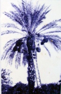 Photo on Orchards Marker. Click for full size. Photo on Orchards Marker image. Click for full size.