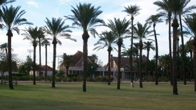 Palm Trees. Click for full size. Palm Trees image. Click for full size.