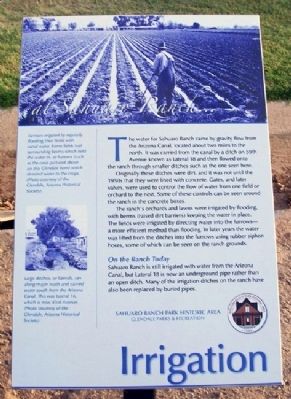 Irrigation Marker image. Click for full size.