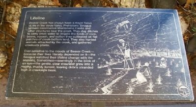 Lifeline Marker. Click for full size. Lifeline Marker image. Click for full size.