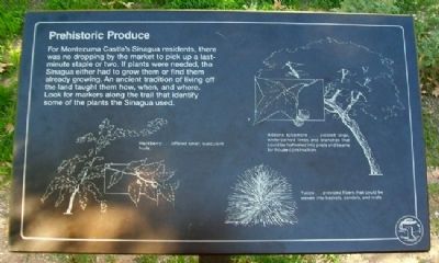 Prehistoric Produce Marker. Click for full size. Prehistoric Produce Marker image. Click for full size.