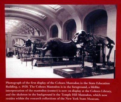 Cohoes Mastodon Circa 1920 image. Click for full size.