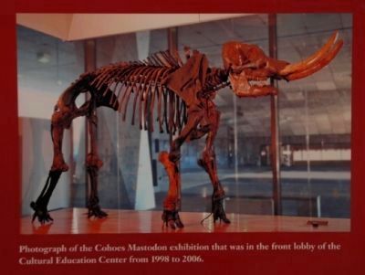 Cohoes Mastodon circa 2006 image. Click for full size.
