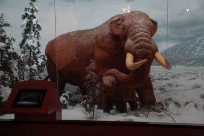 Cohoes Mastodon in New York State Museum 2011 image. Click for full size.