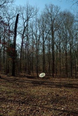 Smith's Brigade Marker. Click for full size. Smith's Brigade Marker image. Click for full size.