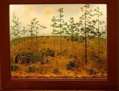 Dade Battlefield Diorama at the Visitor Center, showing Seminoles in attack position image. Click for full size.