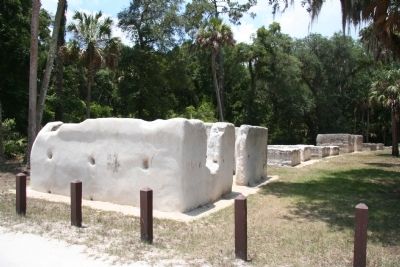 African Identity Marker. Click for full size. African Identity Marker image. Click for full size.