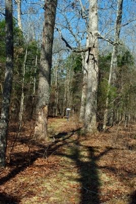 Prentiss Surrender Site Marker. Click for full size. Prentiss Surrender Site Marker image. Click for full size.