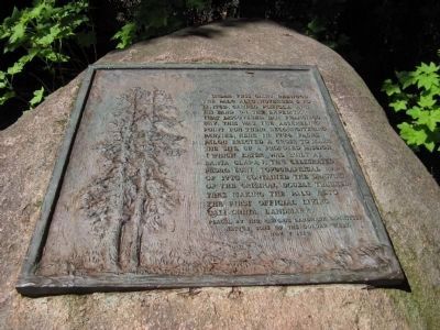 El Palo Alto Marker. Click for full size. El Palo Alto Marker image. Click for full size.