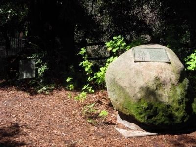 El Palo Alto Marker. Click for full size. El Palo Alto Marker image. Click for full size.