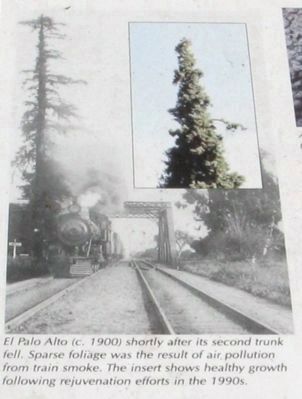 Photo Insert from Nearby Interpretive Panel. Click for full size. Photo Insert from Nearby Interpretive Panel image. Click for full size.