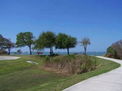 Yellow Bluffs, eastern shore of Sarasota Bay. Click for full size. Yellow Bluffs, eastern shore of Sarasota Bay image. Click for full size.