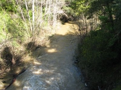 San Francisquito Creek Viewed From the Bridge. Click for full size. San Francisquito Creek Viewed From the Bridge image. Click for full size.