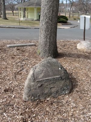 100 Birthday of Freedom Tree Marker. Click for full size. 100 Birthday of Freedom Tree Marker image. Click for full size.