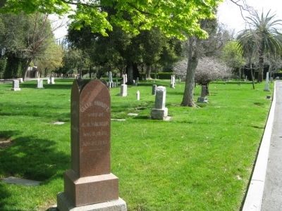 Madronia Cemetery. Click for full size. Madronia Cemetery image. Click for full size.