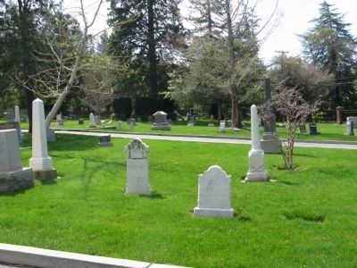 Madronia Cemetery. Click for full size. Madronia Cemetery image. Click for full size.