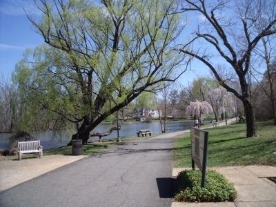Virginia Tech Duck Pond image. Click for full size.