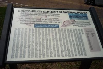 Ex-"Slaves" as U.S. Civil War Soldiers in the Mississippi Valley Campaign. Click for full size. Ex-"Slaves" as U.S. Civil War Soldiers in the Mississippi Valley Campaign image. Click for full size.