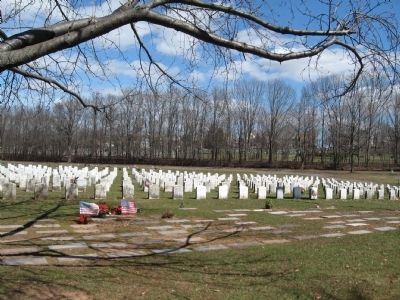 Some of the Veterans Graves Behind the Monument image. Click for full size.