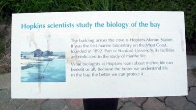 Hopkins Marine Station Marker image. Click for full size.